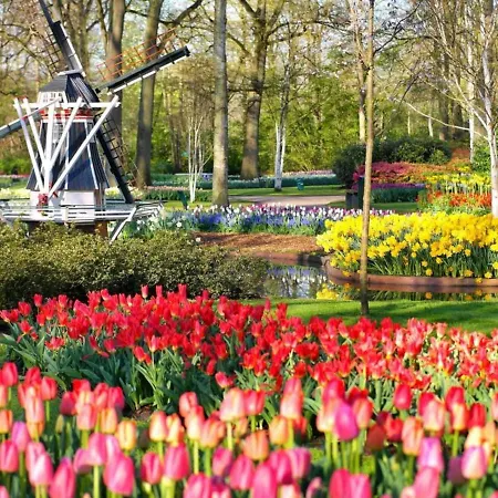 By * Noordwijkerhout