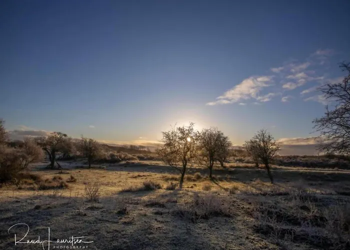 By Dom wakacyjny Noordwijkerhout