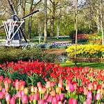 By * Noordwijkerhout