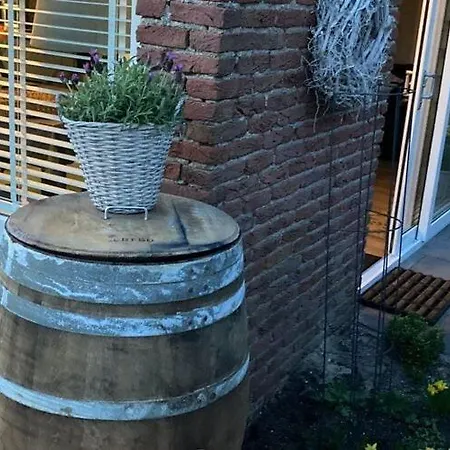 By * Noordwijkerhout