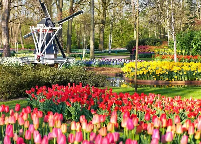 By * Noordwijkerhout