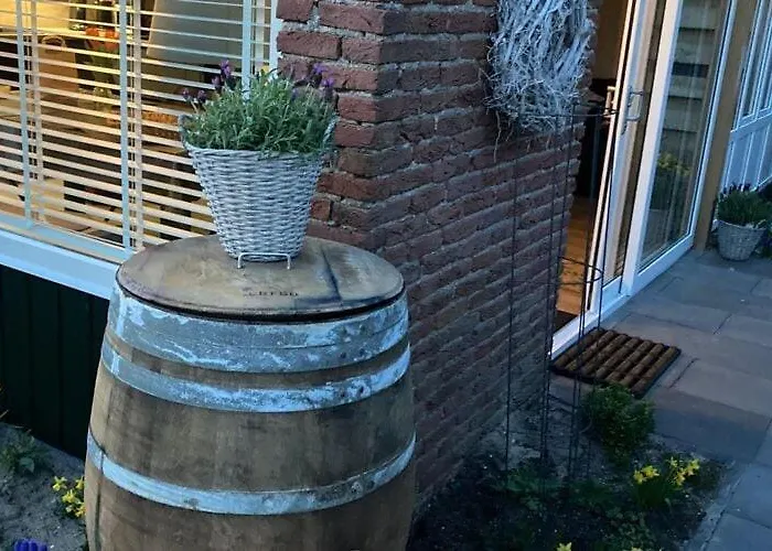 By * Noordwijkerhout